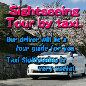 TourismCourse Yamaguchi Sightseeing Taxi