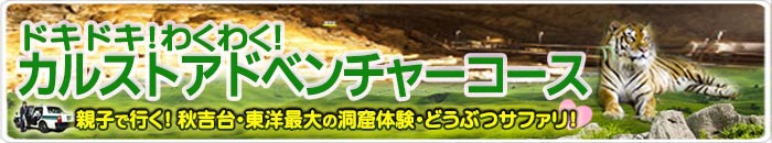 山口県の観光タクシー　美祢市秋吉台のカルストと東洋最大の秋芳洞と動物と遊ぶサファリランド