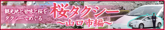 山口県山口市の瑠璃光寺の五重塔とザビエル記念聖堂、雪舟庭や山口の菜香亭などタクシー観光案内いたします